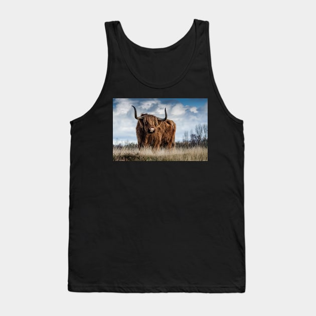 Long Horns Highland Cattle Tank Top by kawaii_shop